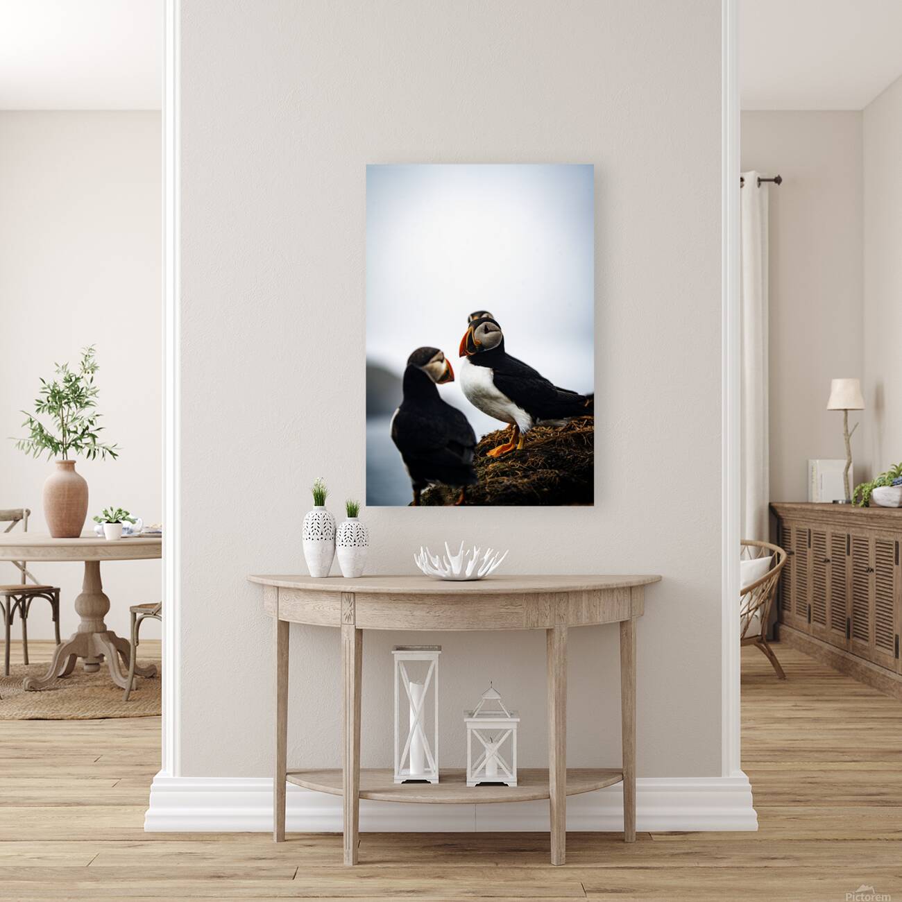 Chillin Puffin II Reproduction