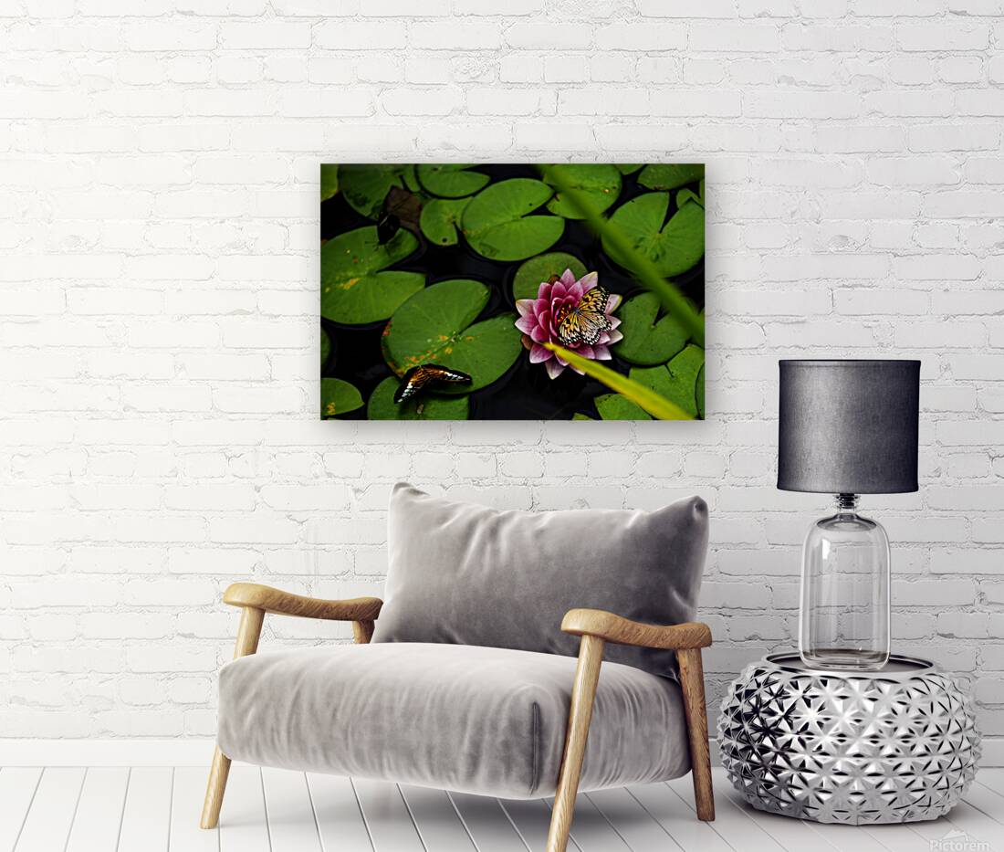 Butterflies and Lilies  Reproduction