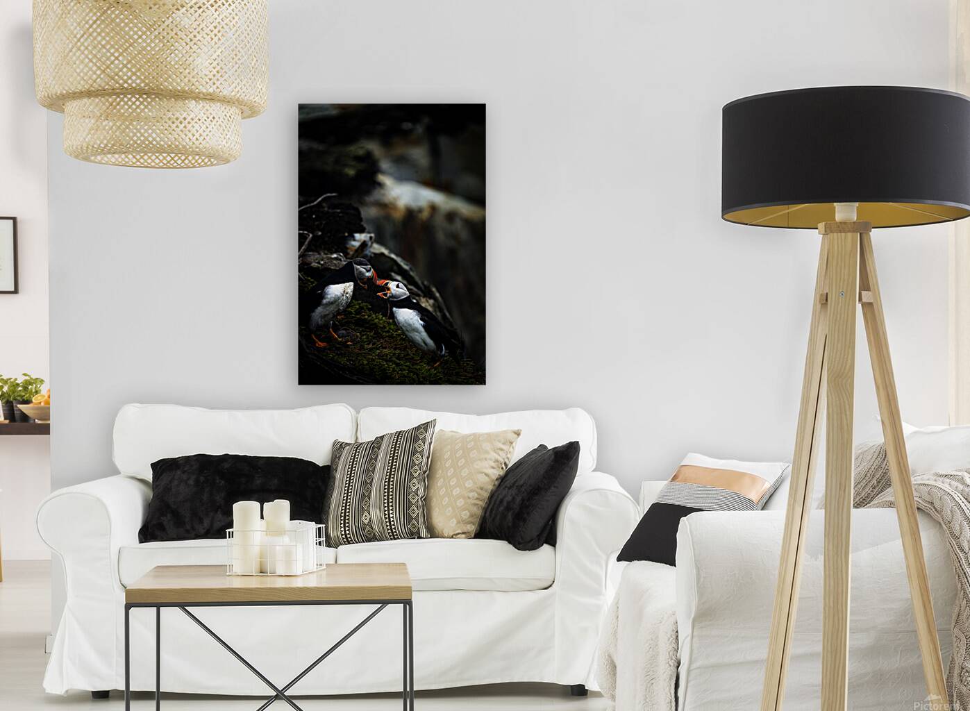 Kissing or Fighting is the question Reproduction