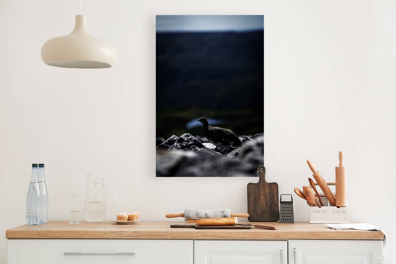 Beyond - a Valley III Reproduction