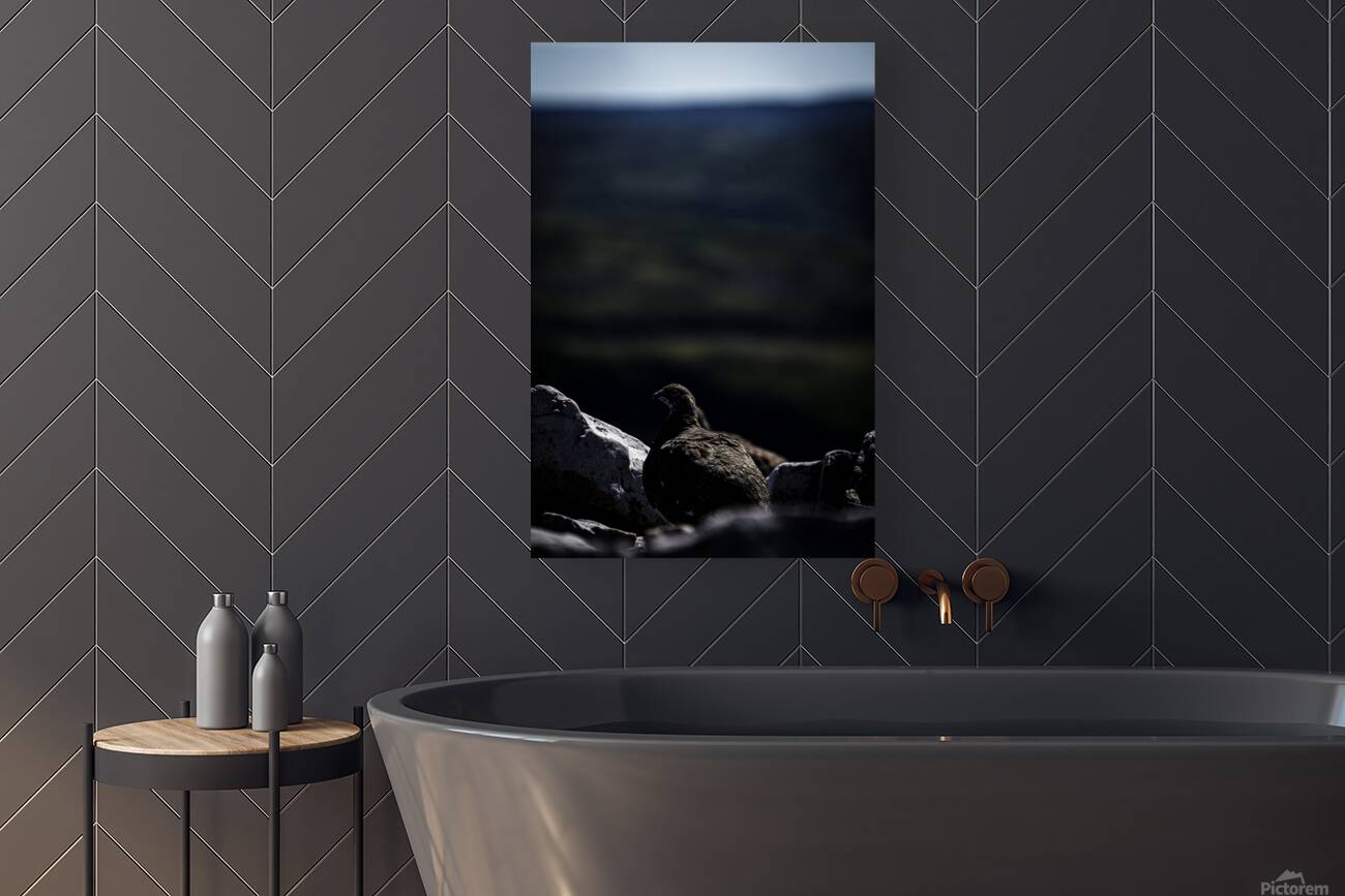 Beyond - a Valley II Reproduction