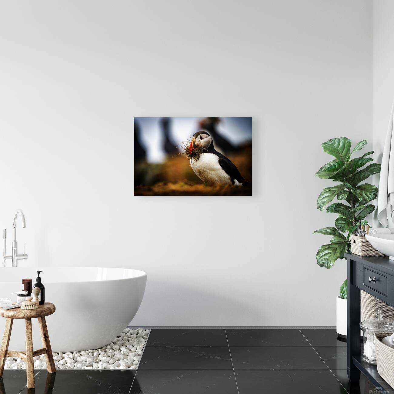 Beak Full II Reproduction