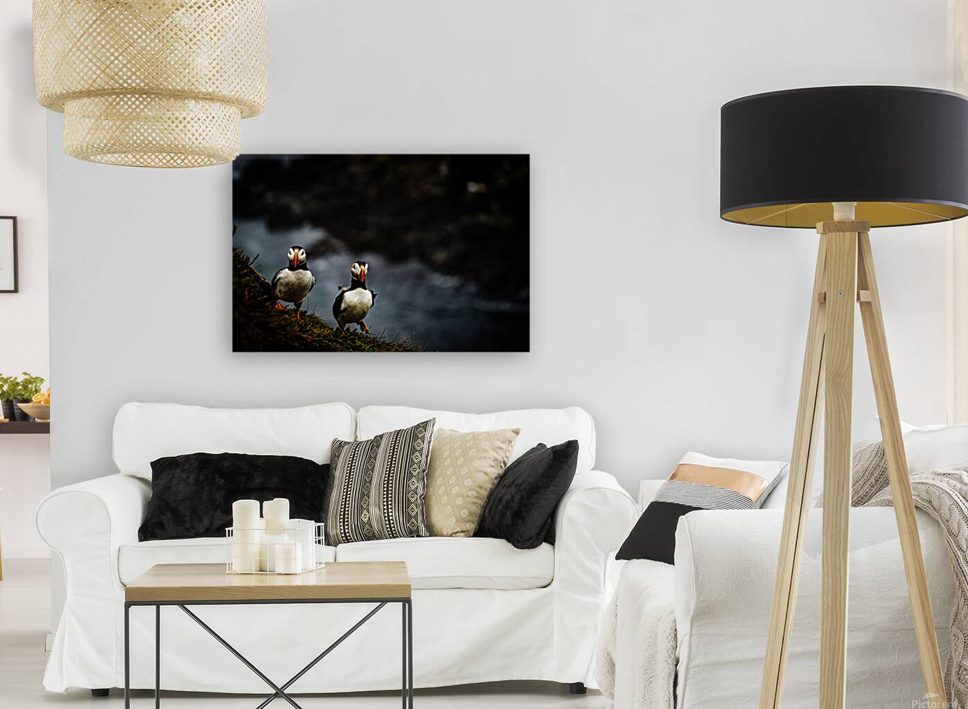 Rough Wind Rough Feather Reproduction