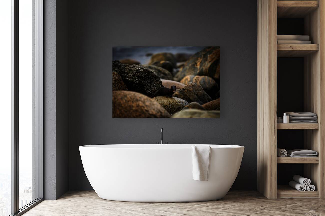 Mighty Mink II Reproduction