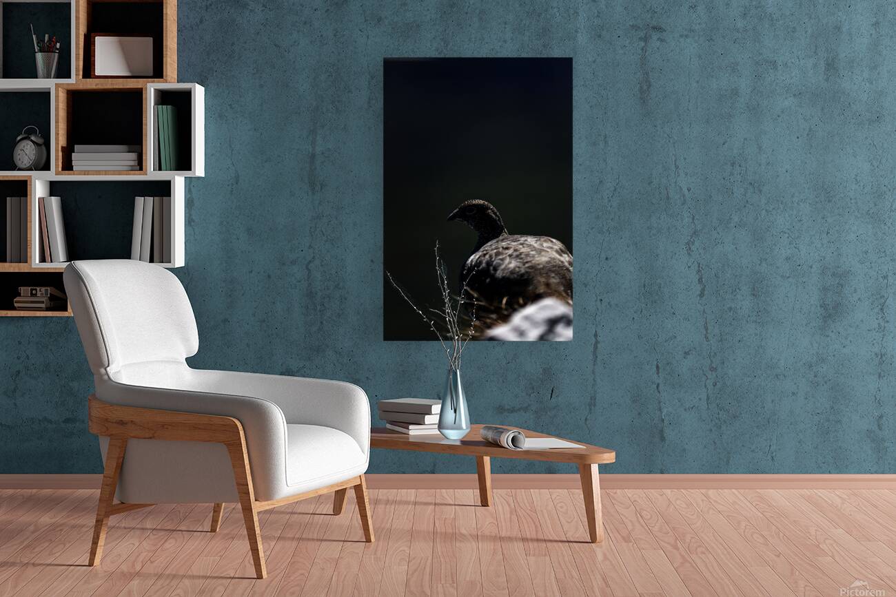 Beyond - a Valley Reproduction