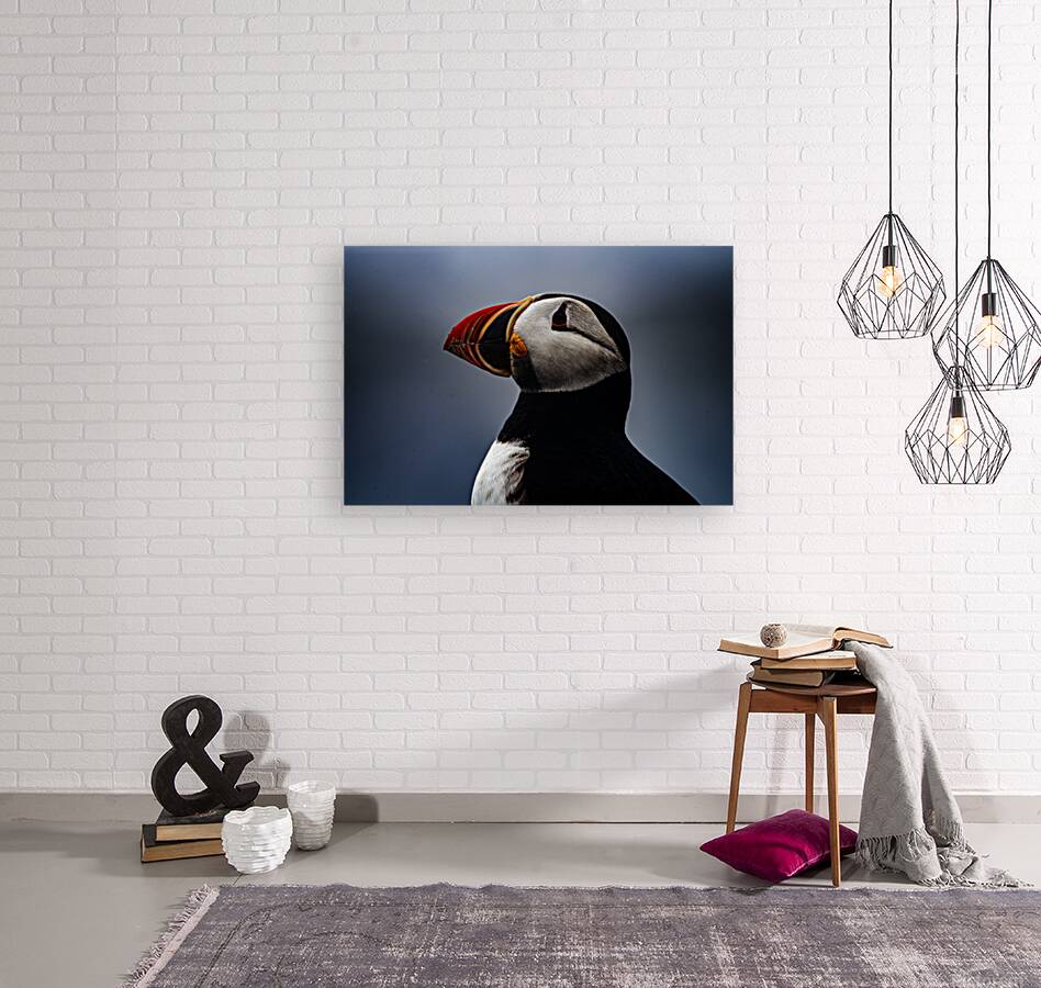 My best shot ever  Reproduction