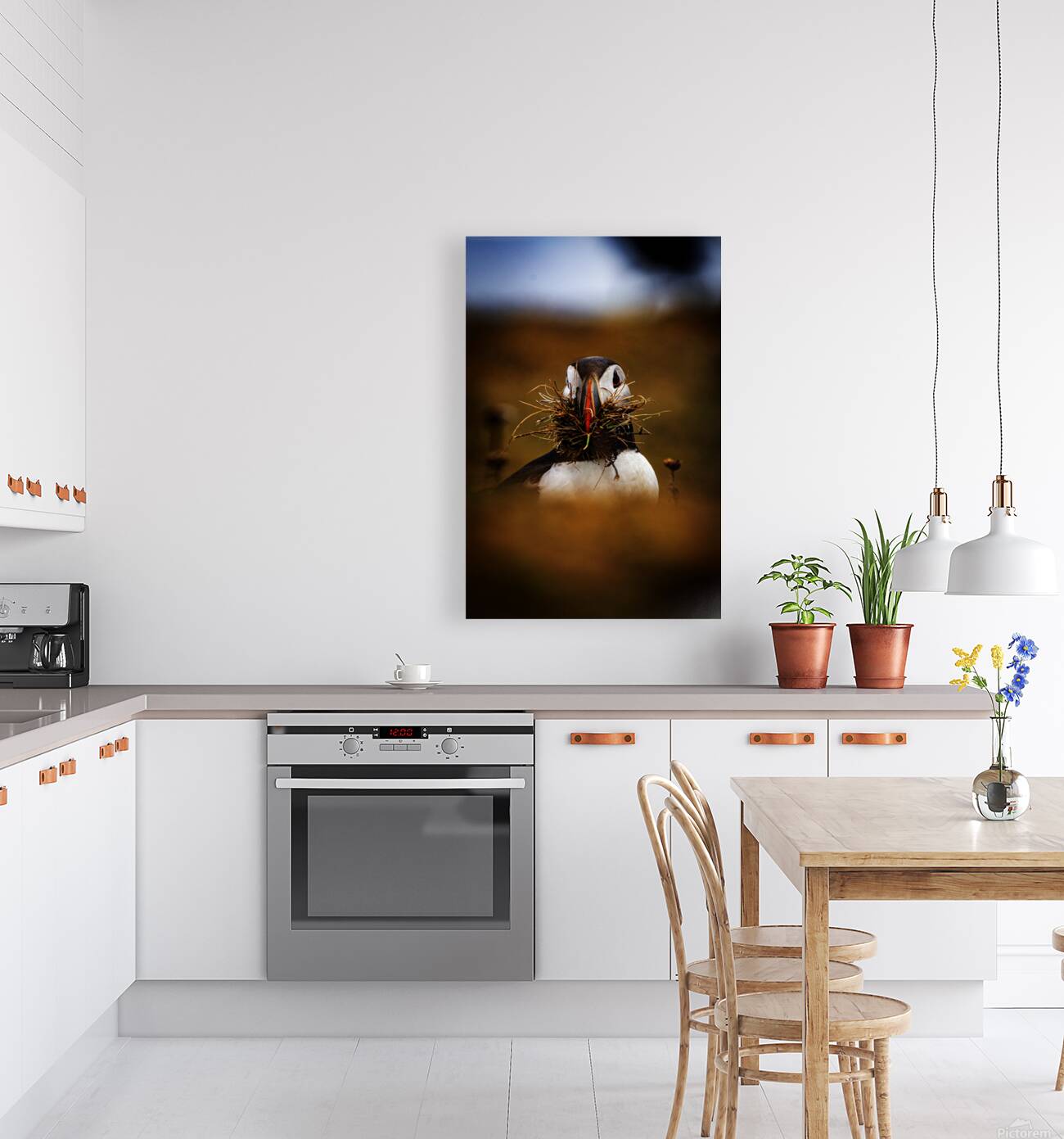 Beak Full Reproduction