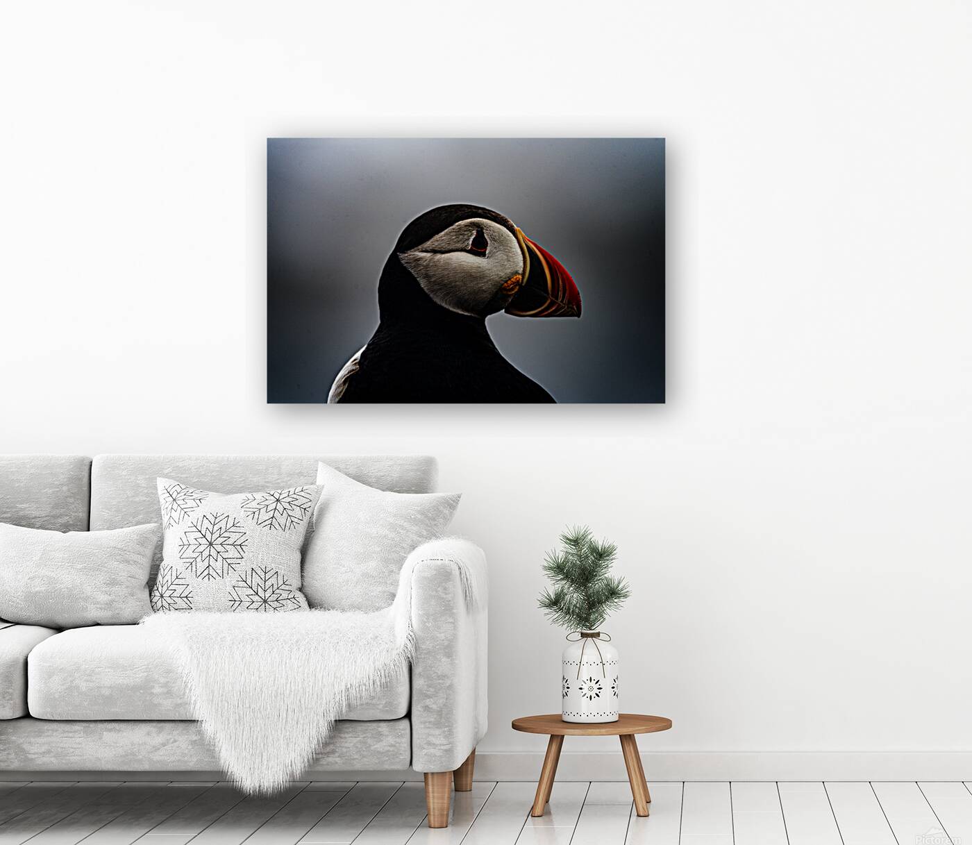 Sea Parrot Reproduction