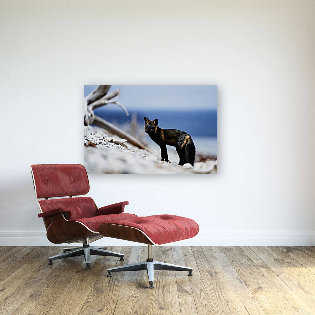 Fire Fox I Reproduction