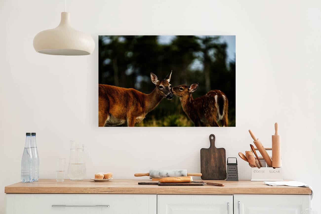 Mother Nature I Reproduction