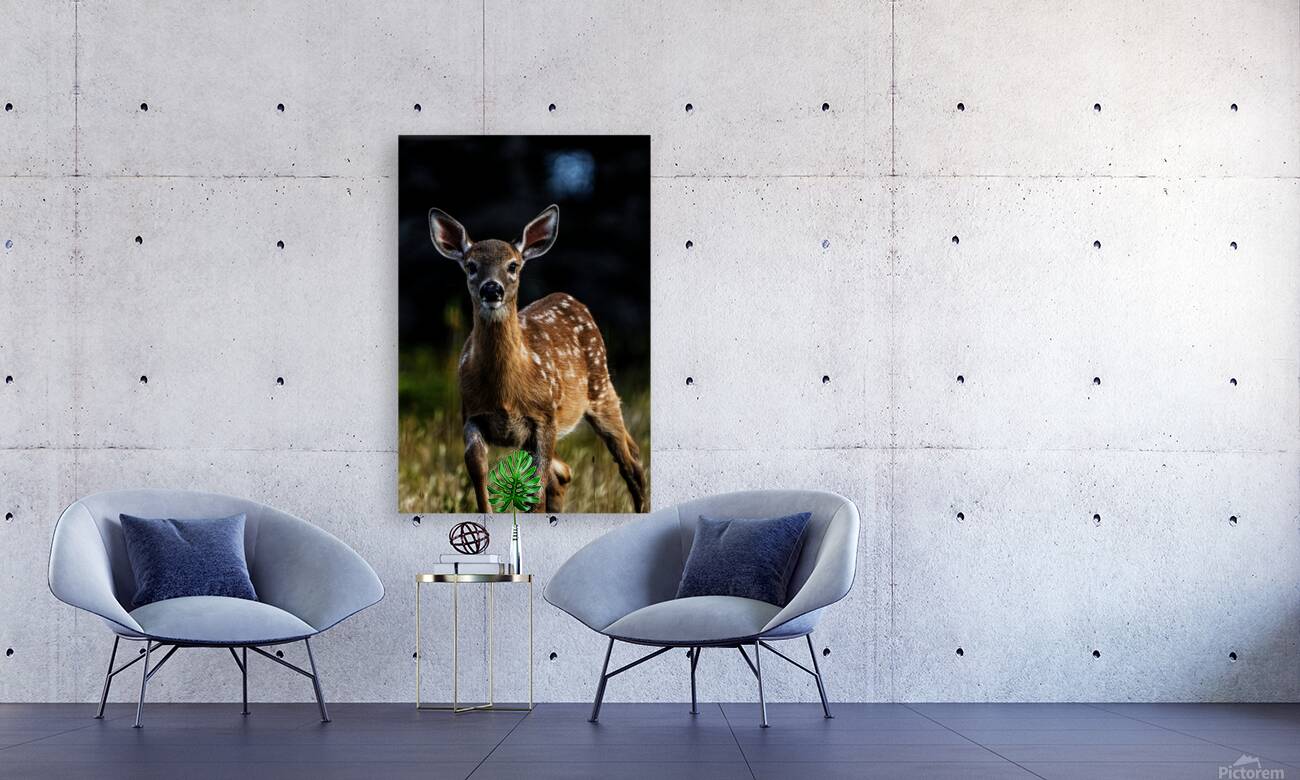 Eye for an eye III Reproduction