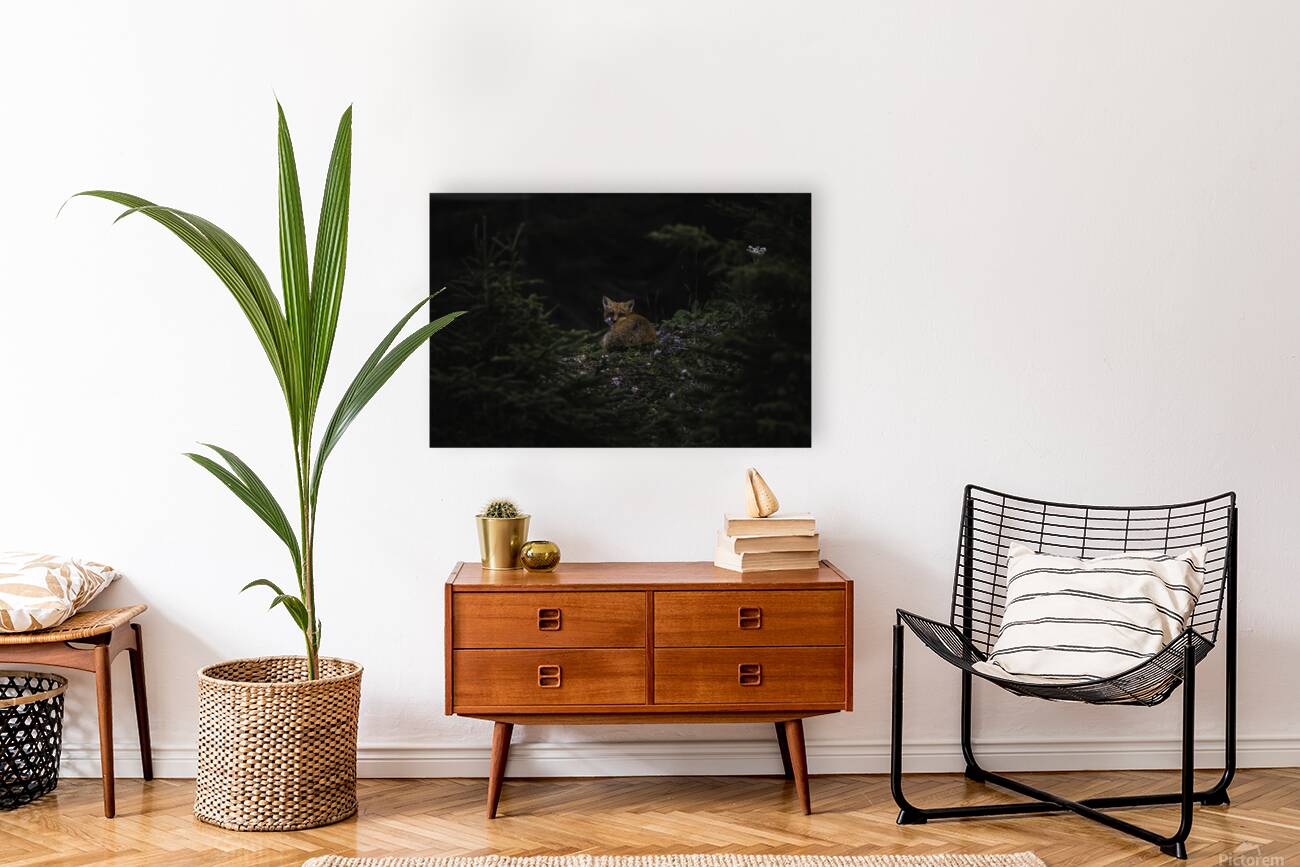 Un soir de septembre Reproduction