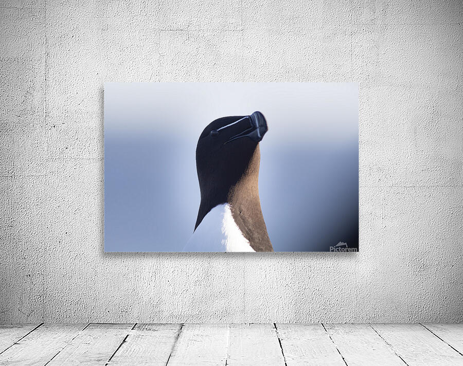 Bec de rasoir Wall Preview