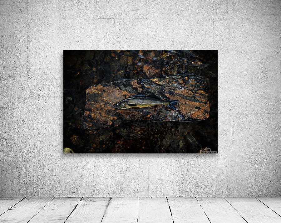 La grosse prise Wall Preview