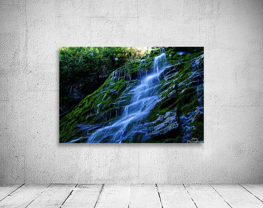 Les tropiques en Gaspesie Wall Preview