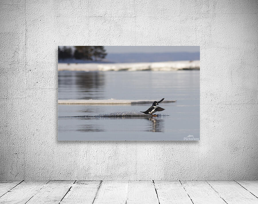 Surf mode Wall Preview