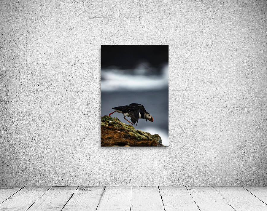 Off the Cliff it went Wall Preview