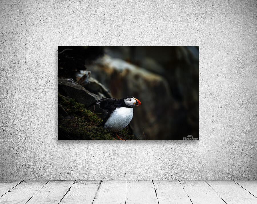 Shake the fog off Wall Preview