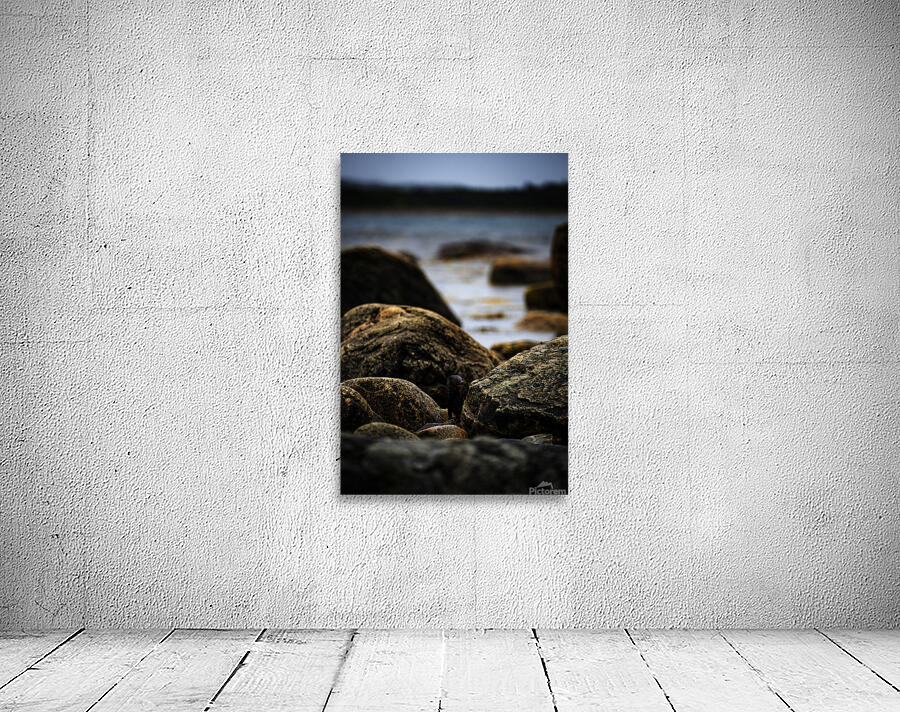 Mighty Mink IV Wall Preview