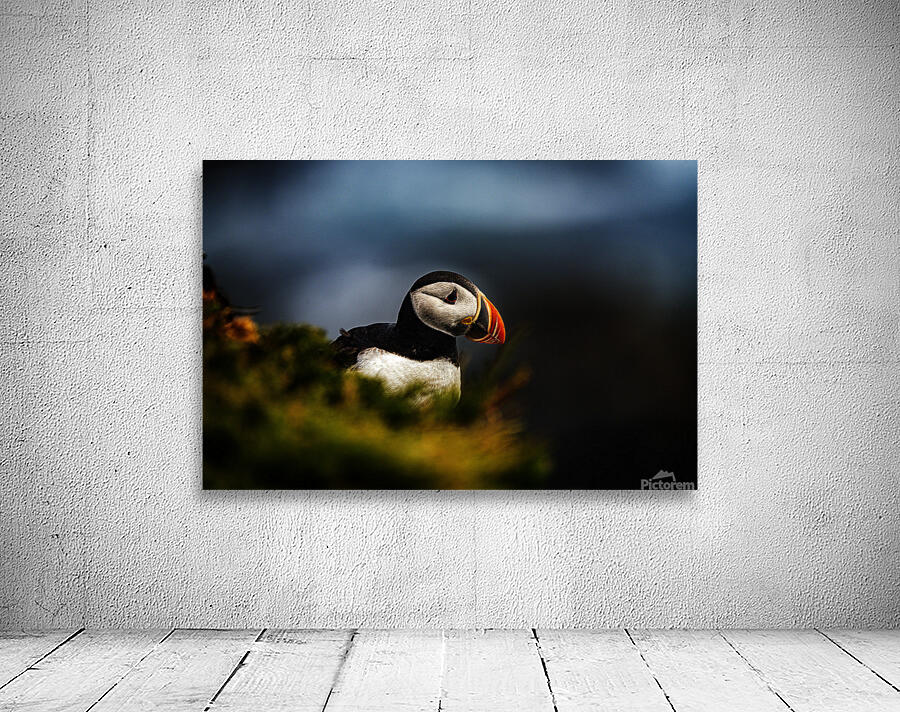 Colorful Wall Preview