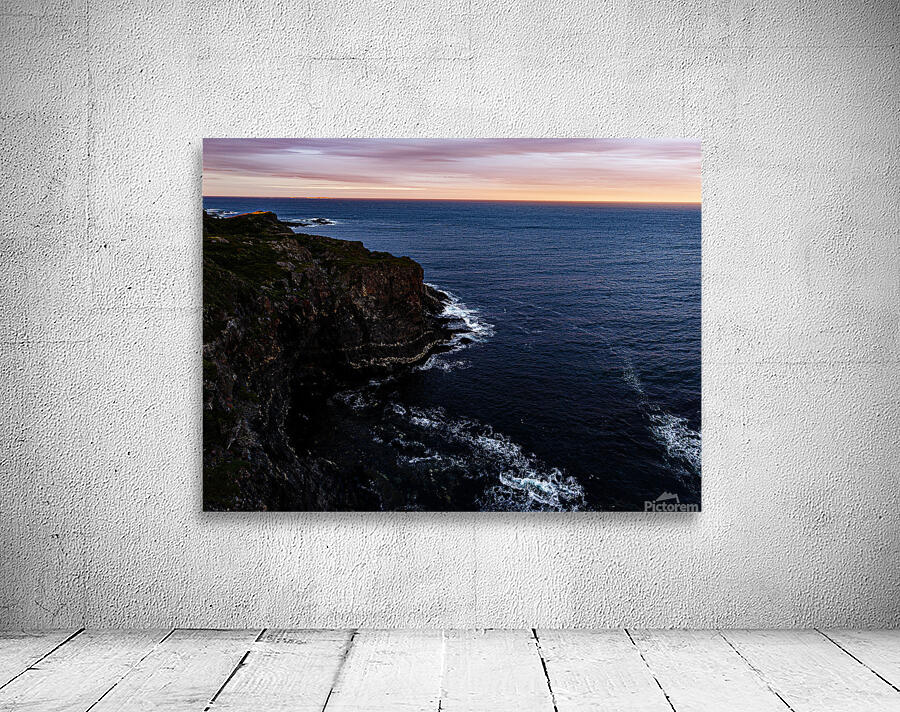 Terra Nova Wall Preview