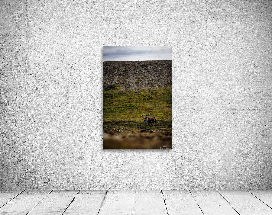 No Santa in Sight Wall Preview