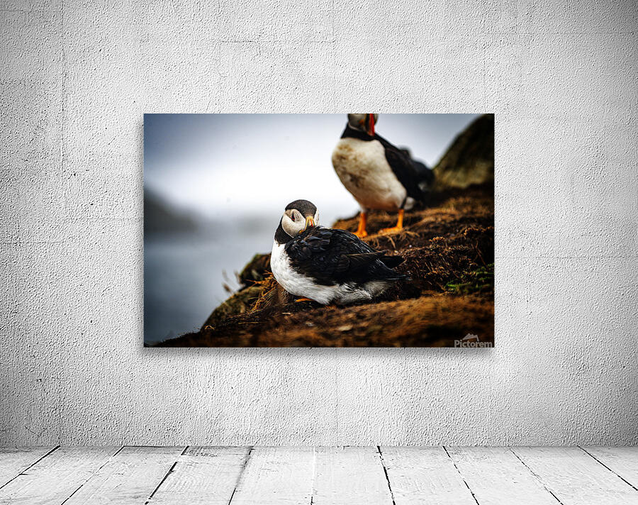 Just a little relaxation Wall Preview