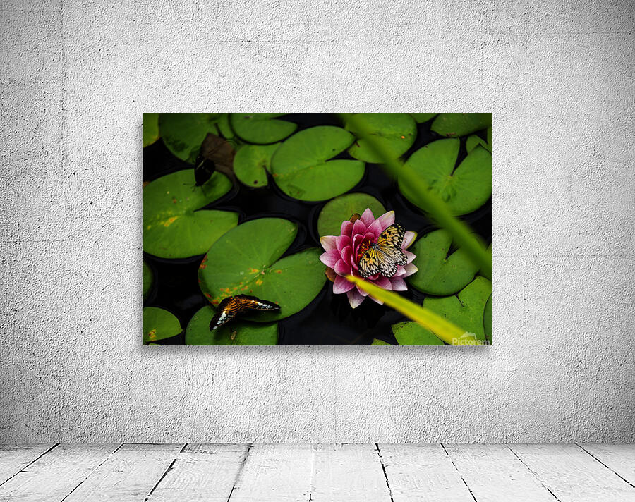 Butterflies and Lilies  Wall Preview