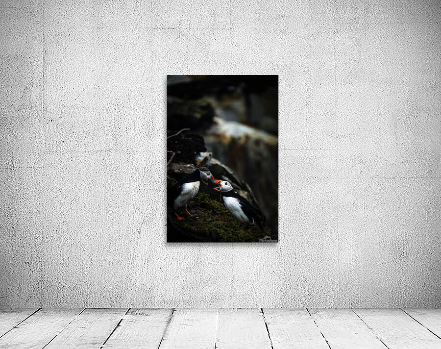 Kissing or Fighting is the question Wall Preview