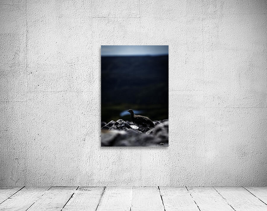 Beyond - a Valley III Wall Preview