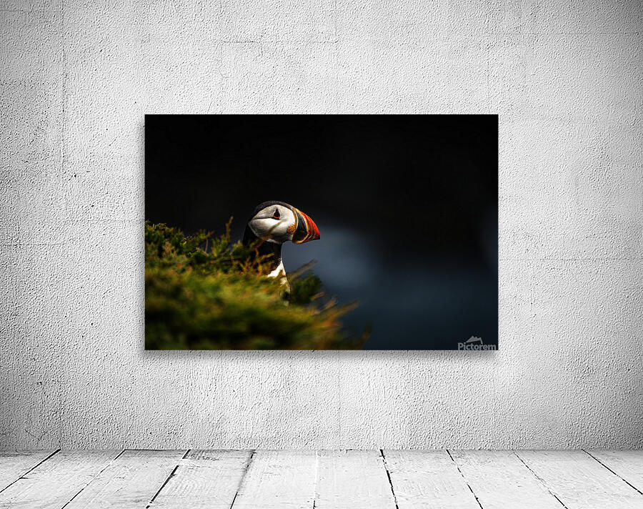 Almost Camo Wall Preview