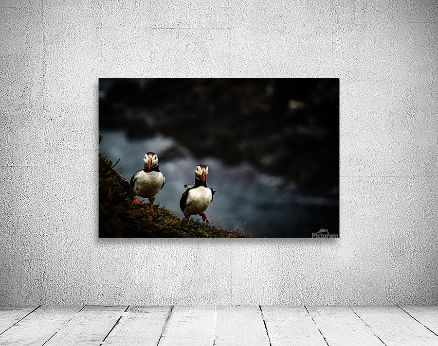 Rough Wind Rough Feather Wall Preview