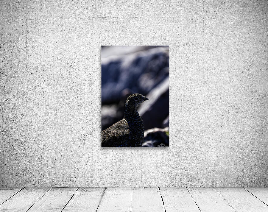 Hard as Rock III Wall Preview