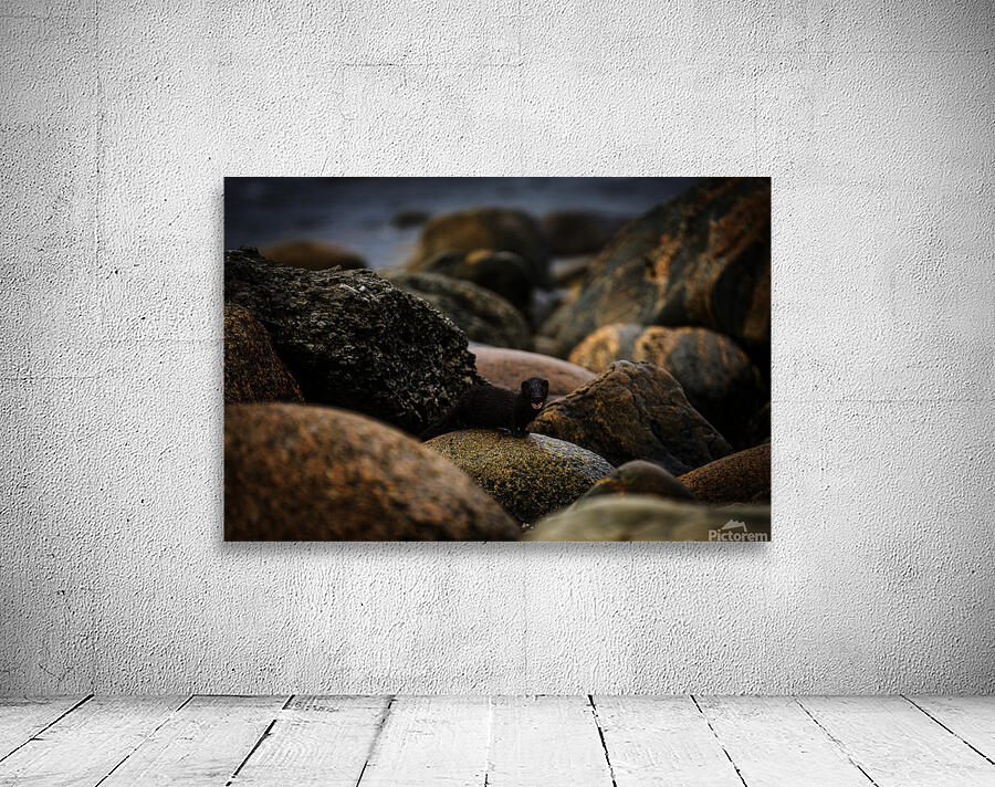 Mighty Mink II Wall Preview