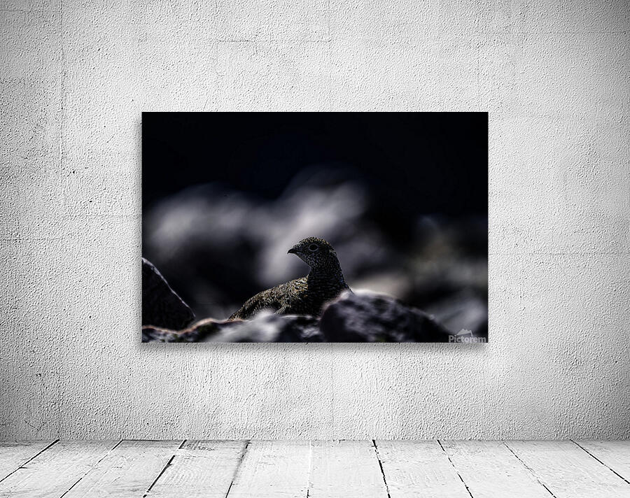 Hard as Rock II Wall Preview