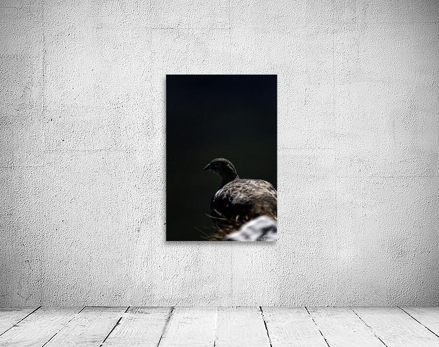 Beyond - a Valley Wall Preview