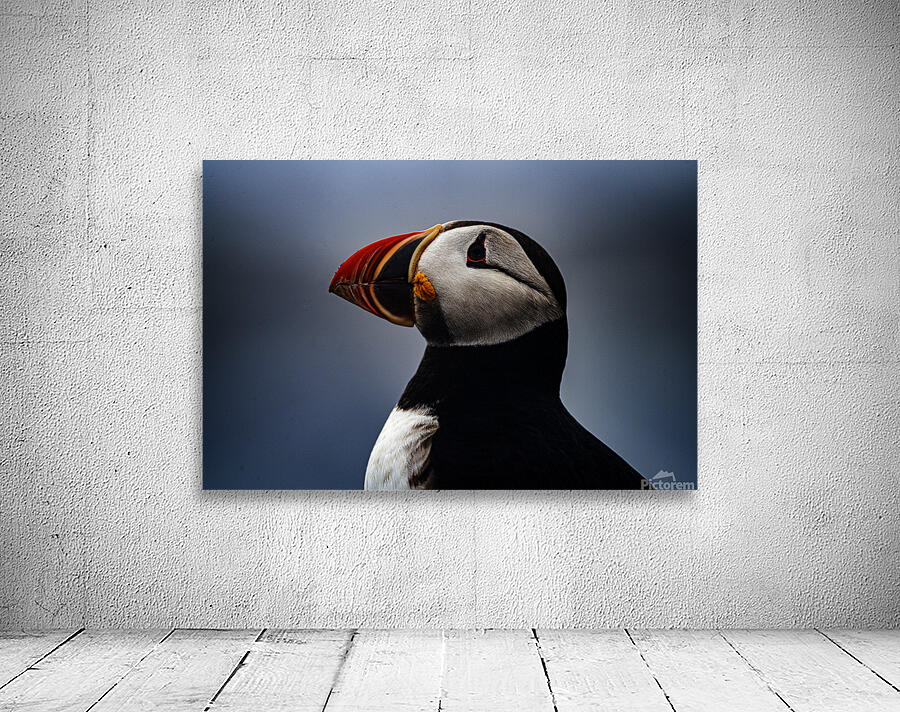 My best shot ever  Wall Preview