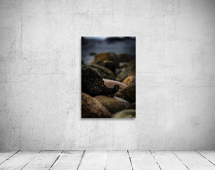 Mighty Mink I Wall Preview