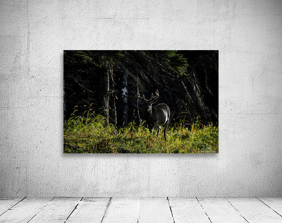 Great Prince of the Forest II Wall Preview