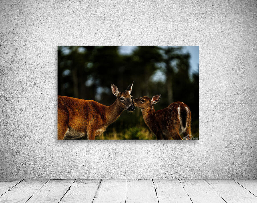 Mother Nature I Wall Preview