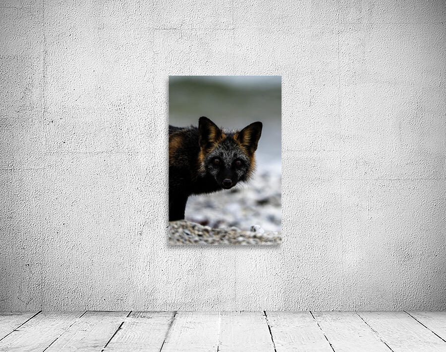 Fire Fox II Wall Preview