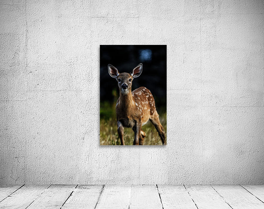 Eye for an eye III Wall Preview