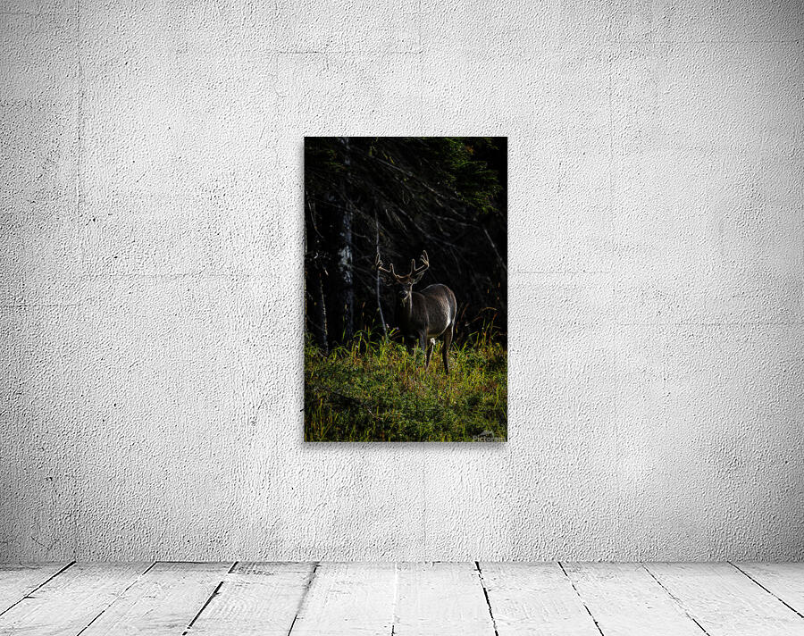 Great Prince of the Forest III Wall Preview