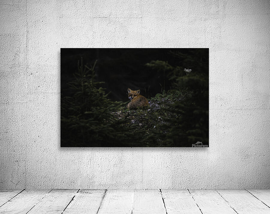 Un soir de septembre Wall Preview