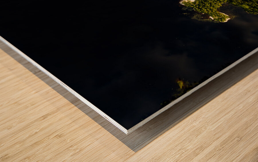 Les belles eaux noires Wood print