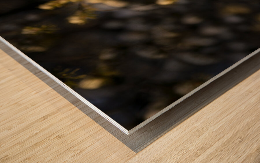 Le petit curieux Wood print