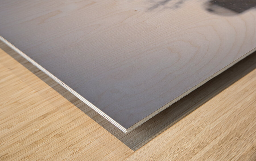 Cole la Legende Wood print