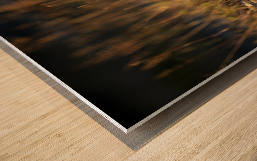 Un matin apres la chasse Wood print