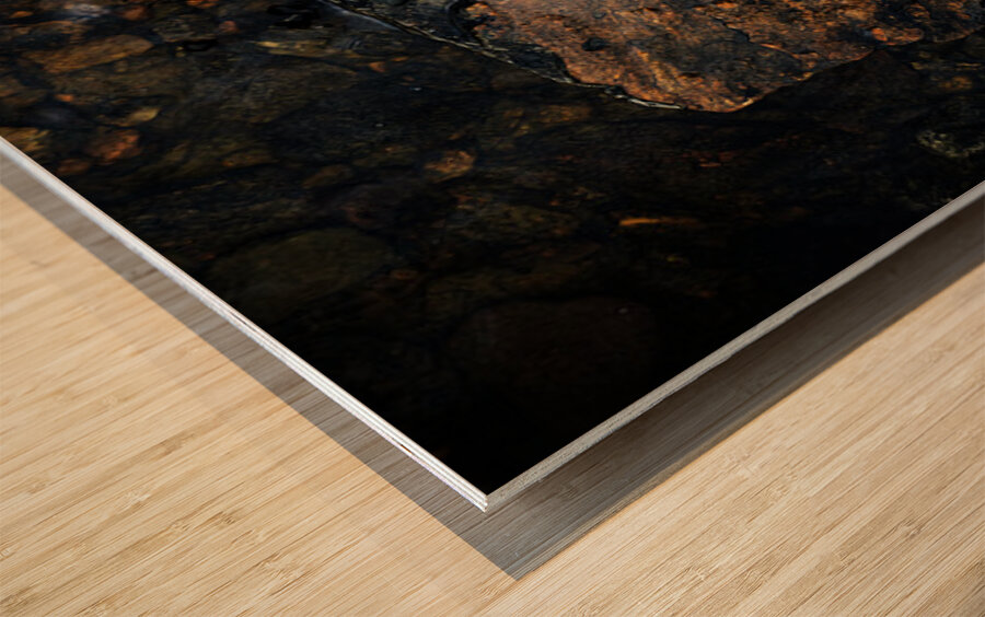 La grosse prise Wood print