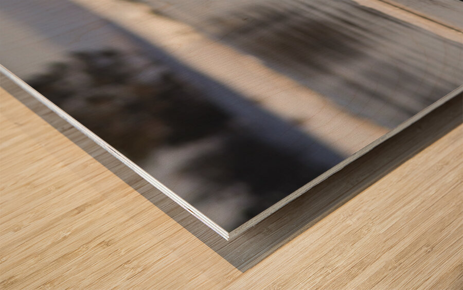 Surf mode Wood print